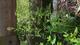 #2: Pflanze w�chst nicht