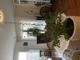 #1: Bougainvillea