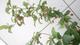 #2: Antwort