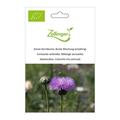 Kaiser-Kornblume, Bunte Mischung (einj�hrig)