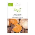 K�rbis, Flat White Boer