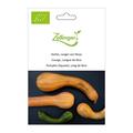 Moschus-K�rbis, Langer von Nizza