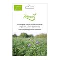 Gr�nd�ngung, Luzerne (Alfalfa) (mehrj�hrig)