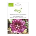 WIlde Malve, Mauretanische Malve (mehrj�hrig)