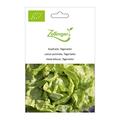 Kopfsalat, T�gerwiler
