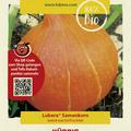 K�rbis 'Uchiki Kuri' (Hokkaido) Samen