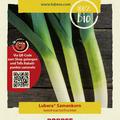 Porree 'Blaugr�ner Winter'