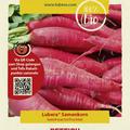 Rettich 'Ostergruss rosa 2'