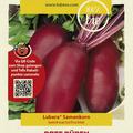 Rote R�ben 'Cylindra'