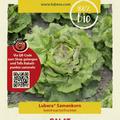 Salat 'Gr�ner aus Maria Lankowitz'