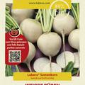 Weisse R�ben 'Albina Vereduna'