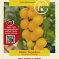 Wildtomaten 'Golden Currant'
