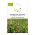 Blumenmischung, Qomer Teppich (mehrj�hrig)