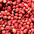 Oca-Ernte