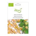 Physalis, Ananaskirsche