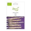 Haferwurz (Salsify)