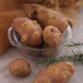 Kartoffel Revoluzzer� 'YingYang'�, Solanum tuberosum