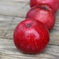 Redlove� Jedermann's