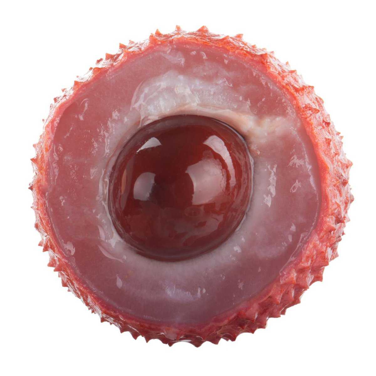 Noyau de litchi