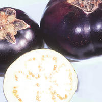 Aubergines