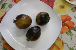 Tomate de vari&eacute;t&eacute;s anciennes Brads Atomic Grape (Solanum lycopersicum), tomates vertes