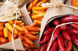 Graines de piments &agrave; acheter jardinerie en ligne Lubera