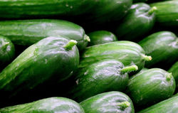 Acheter des graines de concombre jardinerie en ligne Lubera