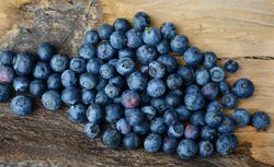 Diff&eacute;rences bleuets sauvages et myrtilles