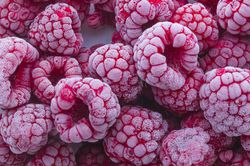 Congeler les framboises Lubera