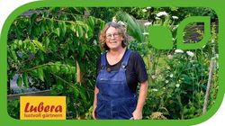 Lubera, Vid&eacute;o de jardinage, Anja et Andreas, cerisiers. Tailler les cerisiers en espalier