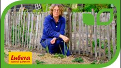 Vid&eacute;o de jardinage, Anja et Andreas, pailler les fraisiers