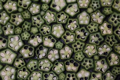 Cultiver le gombo dans son propre jardin - toutes les informations importantes, de la plate-bande � la cuisine
