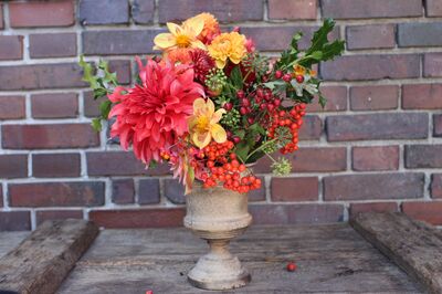 Bouquet de dahlias : conseils pour les dahlias en fleurs coup�es et bouquets faits maison