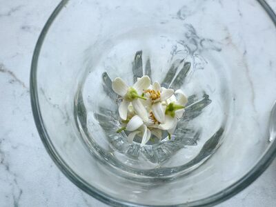 D&eacute;gustation, caf&eacute;ine dans les fleurs d'agrumes, th&eacute;, oranges, pamplemousse, &agrave; partir des feuilles, verre avec fleurs