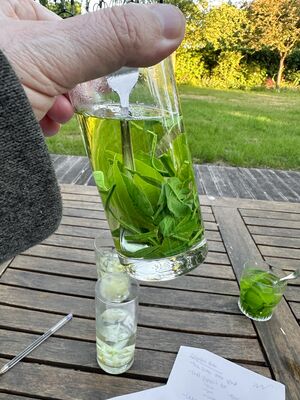 D&eacute;gustation, caf&eacute;ine dans les fleurs d'agrumes, th&eacute;, oranges, &agrave; partir de feuilles, verre avec feuilles d'oranger