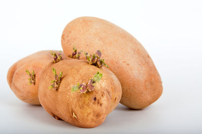 faire germer les pommes de terre - une ancienne technique de culture