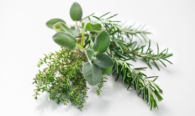 Herbes aromatiques issues de votre propre jardin d'aromatiques