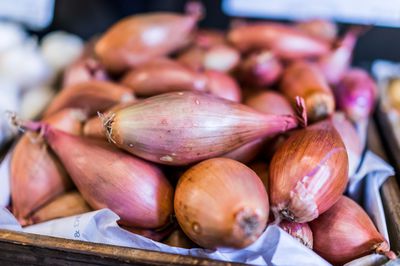 Qu’est-ce qu’une �chalote et quelles diff�rences avec l’oignon ? 