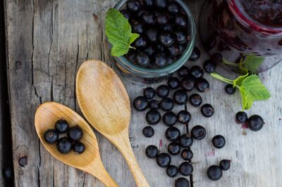 Recettes � base de cassis : comment utiliser le cassis en cuisine