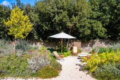 Trouver des arbres et arbustes r�sistants � la s�cheresse : ce ne sont pas les �tiquettes des plantes qui vous apporteront ces r�ponses