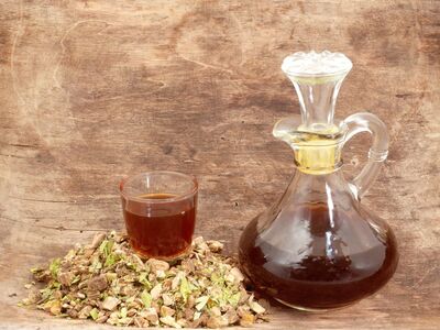 Les substances am�res : une strat�gie de d�fense ing�nieuse et savoureuse des plantes