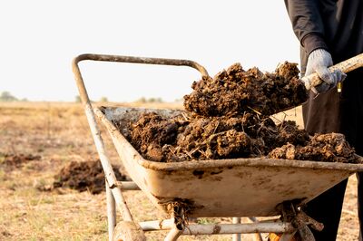 Fertiliser la vigne : pour une croissance au top, des vignes en bonne sant� et un rendement exceptionnel