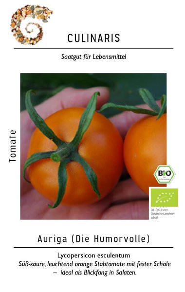 Tomate Auriga (Orange) BIO - Salattomate