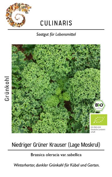 Gr�nkohl - Niedriger Gr�ner Krauser BIO Federkohl 