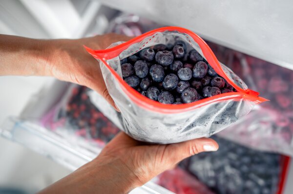 Cong&eacute;lateur, myrtilles, Autosuffisance en framboises et m&ucirc;res