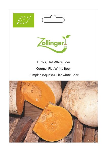 K�rbis, Flat White Boer