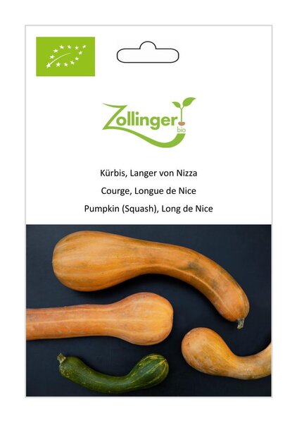 Moschus-K�rbis, Langer von Nizza