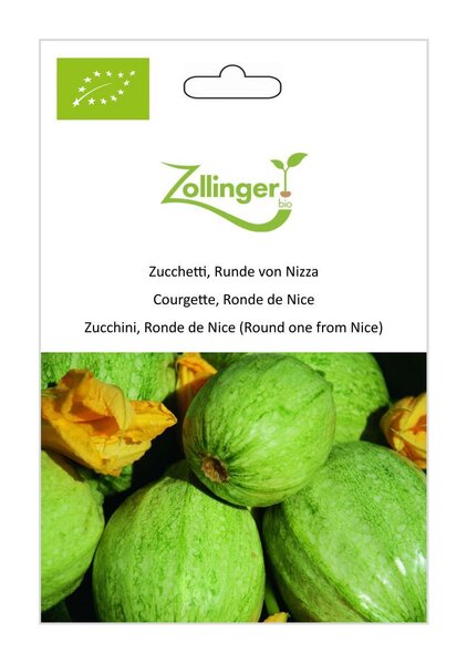 Zucchetti, Runde von Nizza