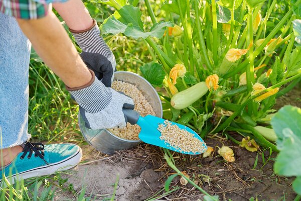 Engrais en &eacute;t&eacute;, fertilisation en &eacute;t&eacute;