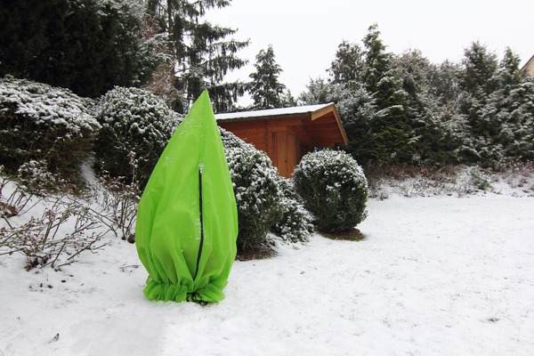 Protection hivernale pour plantes en pot, Lubera